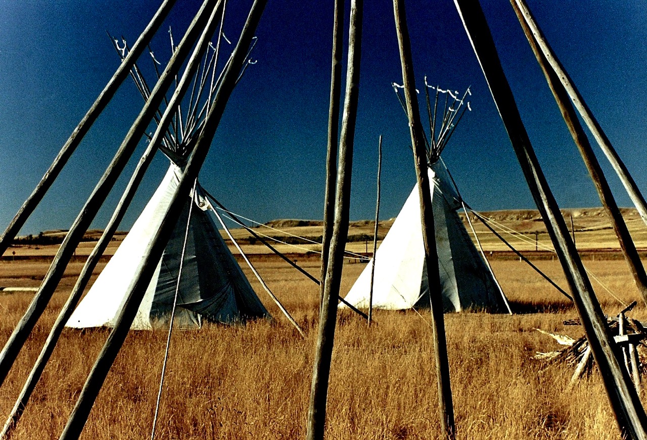 33. Lodge Poles, Fort Union, North Dakota, 1987.